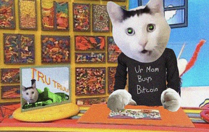 Huh Cat wearing an 'Ur Mom Buys Bitcoin' shirt
